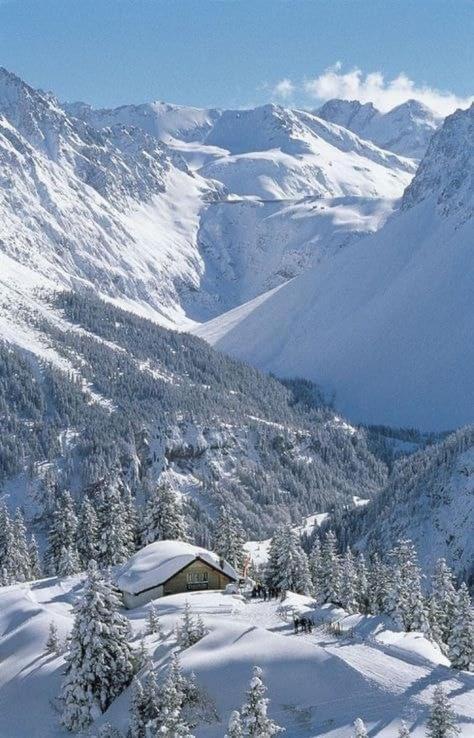 Finestra Sull'Adamello Leilighet Passo del Tonale Eksteriør bilde